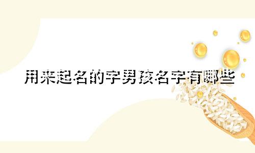 用来起名的字男孩名字有哪些