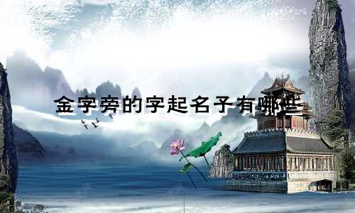 金字旁的字起名子有哪些