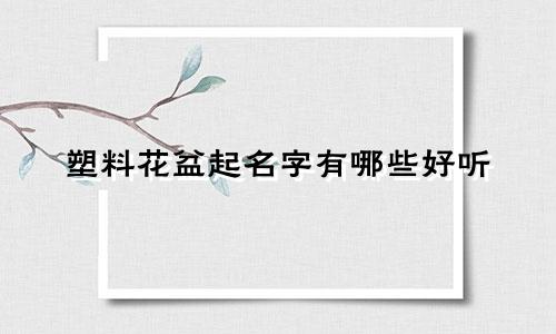 塑料花盆起名字有哪些好听