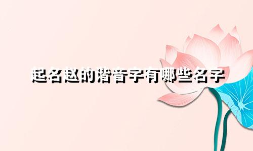 起名赵的谐音字有哪些名字