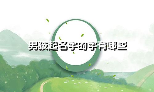 男孩起名字的字有哪些