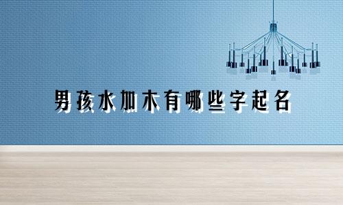 男孩水加木有哪些字起名