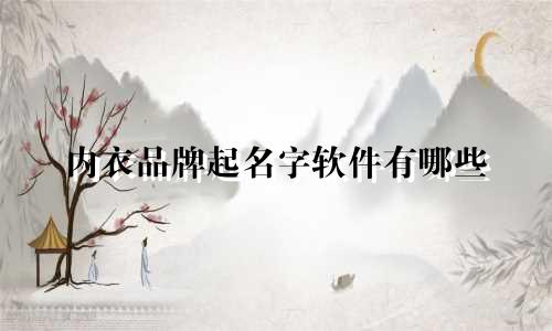 内衣品牌起名字软件有哪些