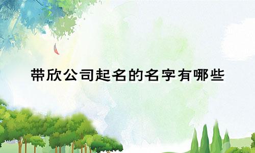 带欣公司起名的名字有哪些