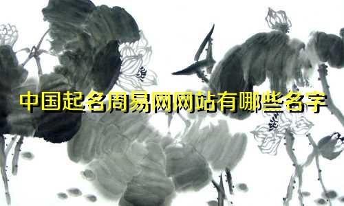 中国起名周易网网站有哪些名字