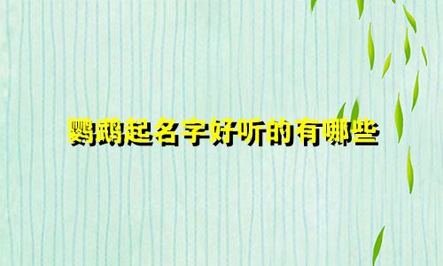 鹦鹉起名字好听的有哪些