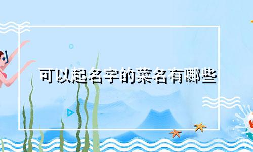 可以起名字的菜名有哪些