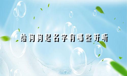 给狗狗起名字有哪些好听