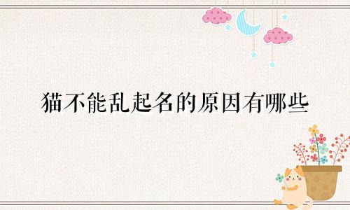 猫不能乱起名的原因有哪些