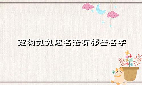 宠物兔兔起名法有哪些名字