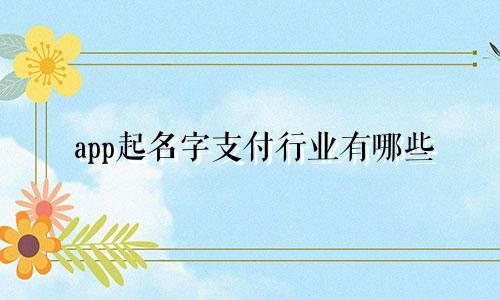 app起名字支付行业有哪些
