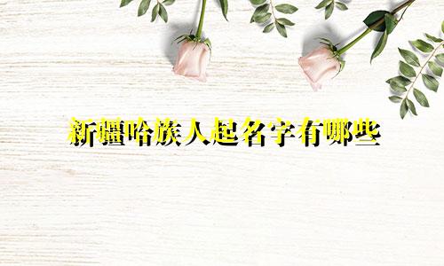 新疆哈族人起名字有哪些