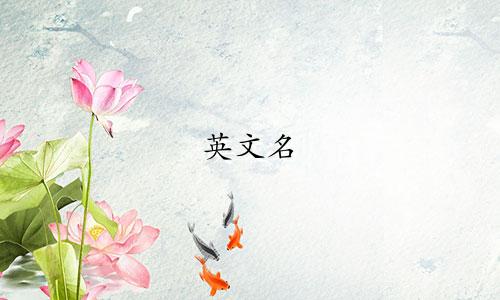 英文名 起名网站有哪些