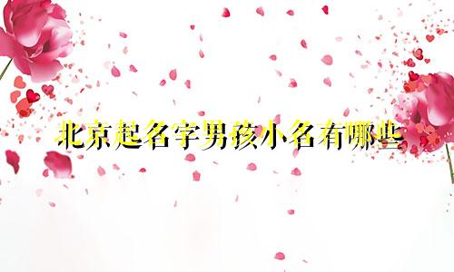 北京起名字男孩小名有哪些