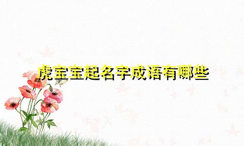 虎宝宝起名字成语有哪些