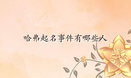 哈弗起名事件有哪些人