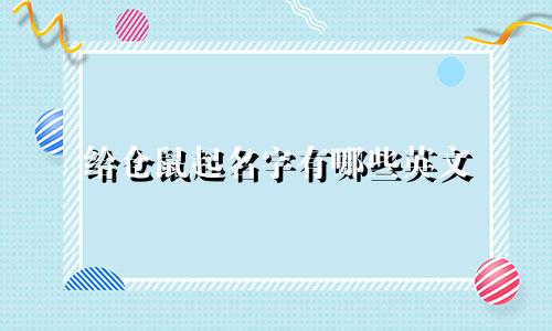 给仓鼠起名字有哪些英文