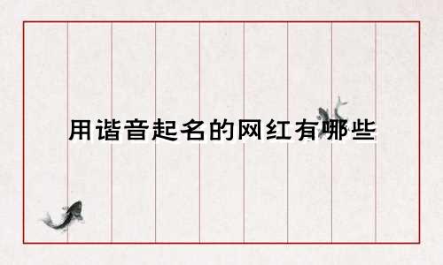 用谐音起名的网红有哪些