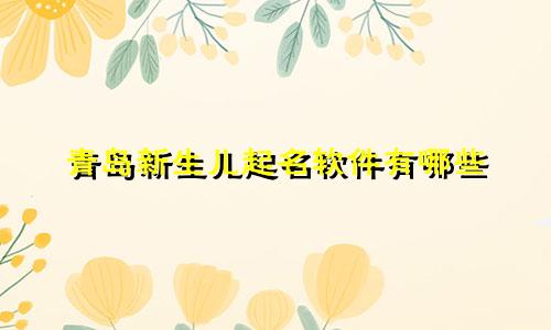 青岛新生儿起名软件有哪些