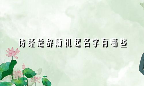诗经楚辞随机起名字有哪些