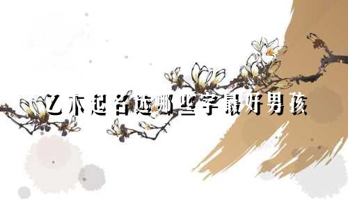 乙木起名选哪些字最好男孩
