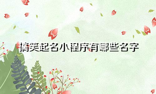 搞笑起名小程序有哪些名字