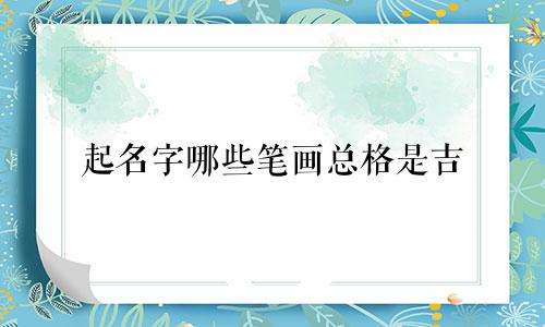 起名字哪些笔画总格是吉