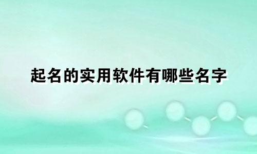 起名的实用软件有哪些名字