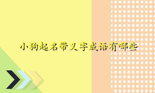 小狗起名带义字成语有哪些