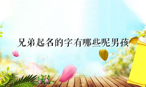 兄弟起名的字有哪些呢男孩
