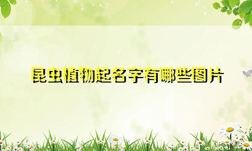 昆虫植物起名字有哪些图片
