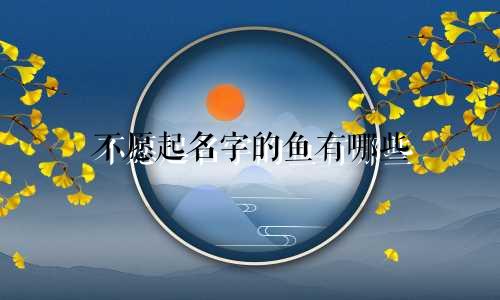 不愿起名字的鱼有哪些