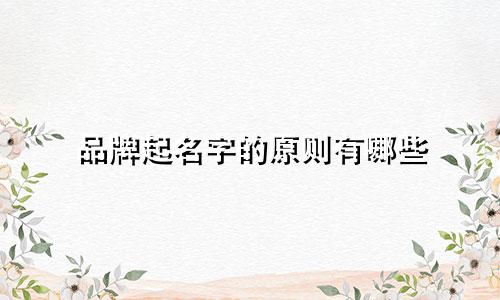品牌起名字的原则有哪些
