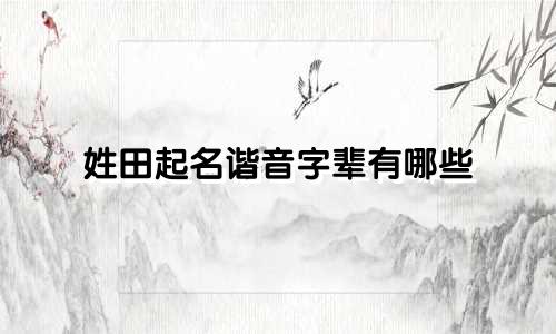 给猫起名最旺的字有哪些