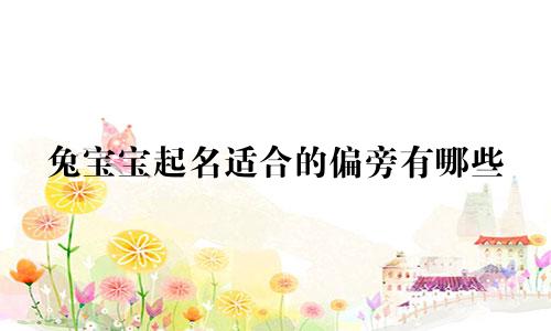 兔宝宝起名适合的偏旁有哪些