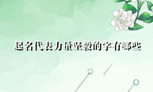 起名代表力量坚毅的字有哪些