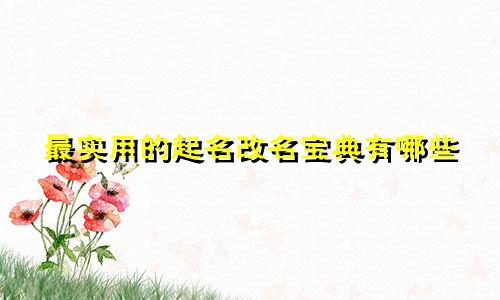 最实用的起名改名宝典有哪些