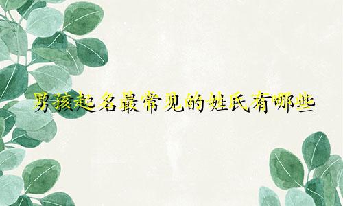 男孩起名最常见的姓氏有哪些