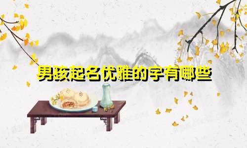 男孩起名优雅的字有哪些
