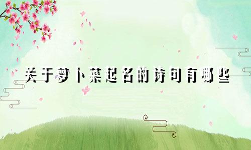 关于萝卜菜起名的诗句有哪些