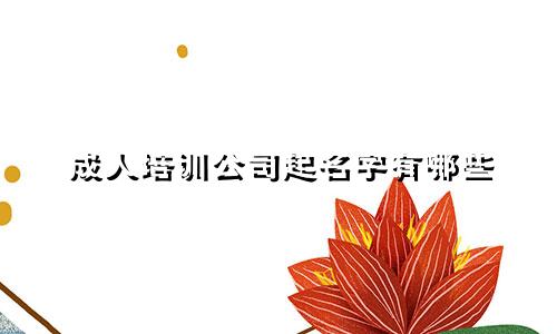 成人培训公司起名字有哪些