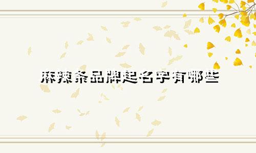 麻辣条品牌起名字有哪些
