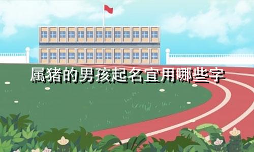 属猪的男孩起名宜用哪些字