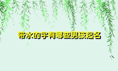 带水的字有哪些男孩起名