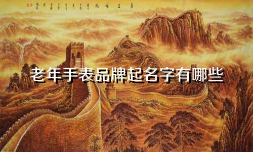 老年手表品牌起名字有哪些