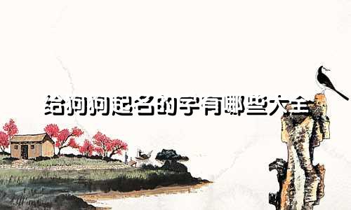 给狗狗起名的字有哪些大全