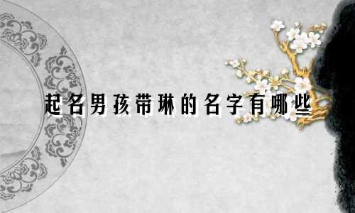 起名男孩带琳的名字有哪些