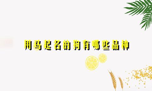 用马起名的狗有哪些品种