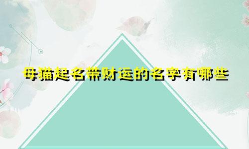 母猫起名带财运的名字有哪些