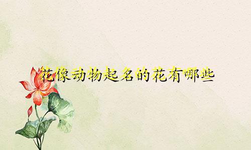 花像动物起名的花有哪些